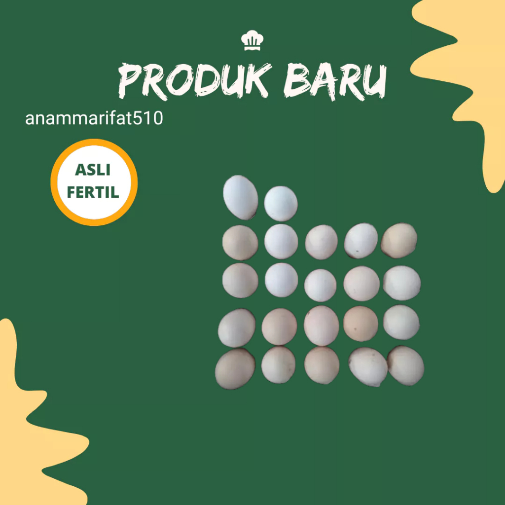 Jual Telur Ayam Kampung Ras Petelur Fertil | Shopee Indonesia