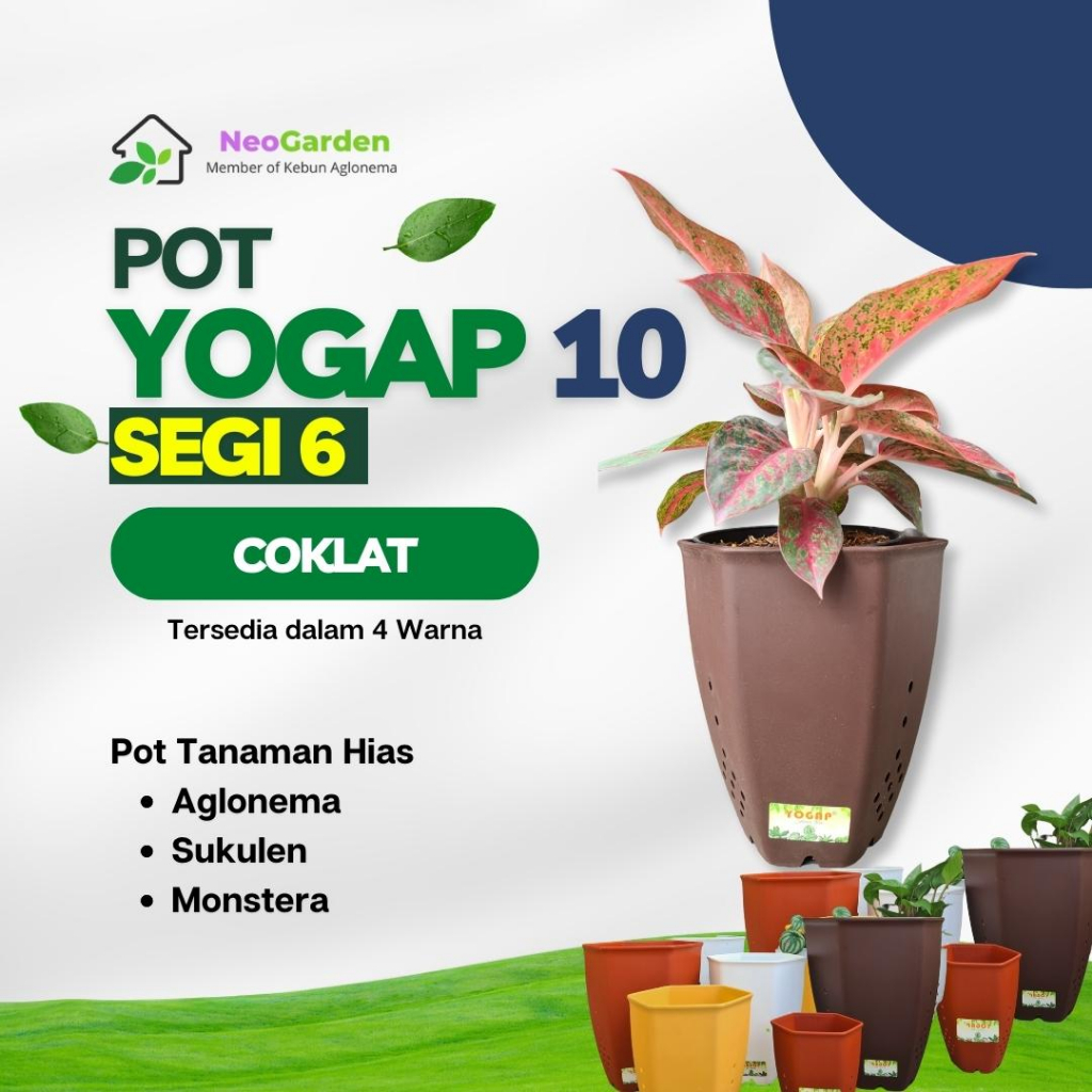 Jual Pot Segi 6 Yogap 10 Pot Plastik Segi Enam Ukuran 10 Murah Awet