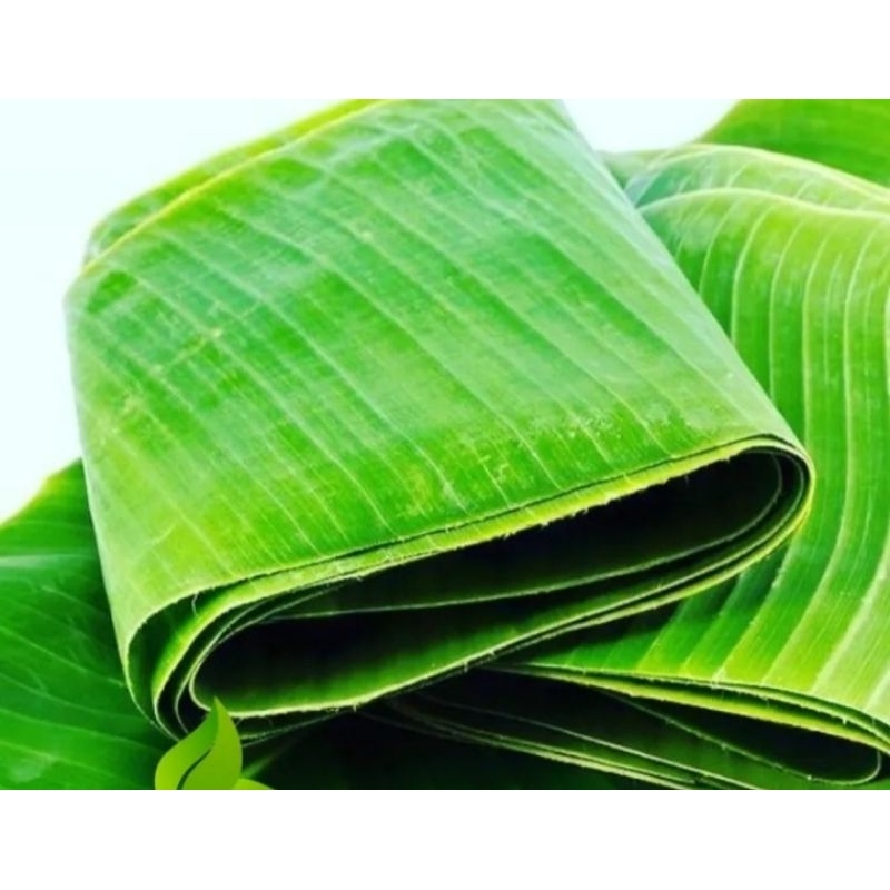 Jual Daun Pisang Daun Pisang Segar Daun Pisang Segar Lebar Satu Ikat Isi Dua Lembar Shopee 8694