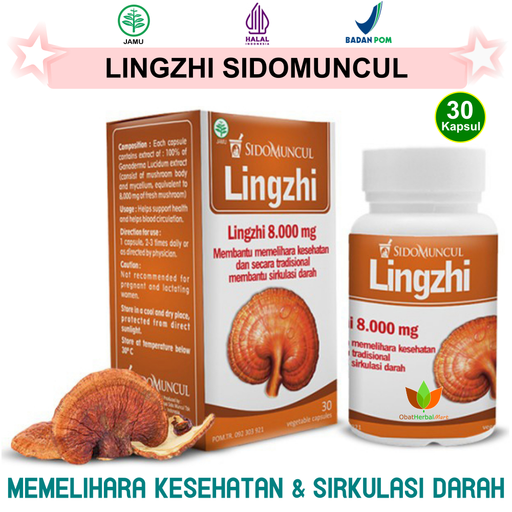 Jual 30 KAPSUL JAMUR LINGZHI SIDOMUNCUL, JAMU OBAT HERBAL DARAH TINGGI