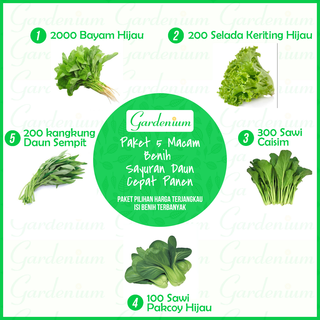 Paket 5 Macam Benih Sayuran Daun Panen Cepat Hidroponik Paktani ( Bayam Selada Caisim Pakcoy Kangkung )