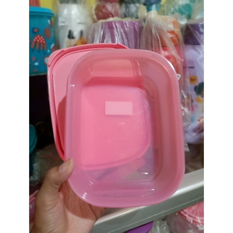 Jual Bekal makan polos tupperware | Shopee Indonesia