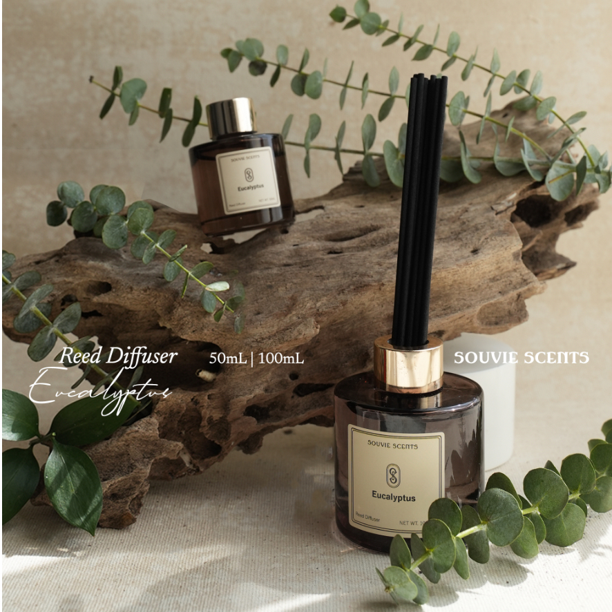 Jual Reed Diffuser Set | Eucalyptus Aromaterapi Pengharum Ruangan 100mL ...
