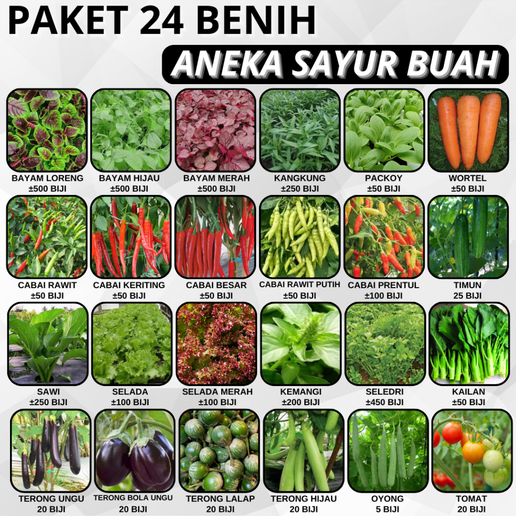 Jual Paket 24 Benih Aneka Sayur Buah Bisa Hidroponik Dan Konvensional