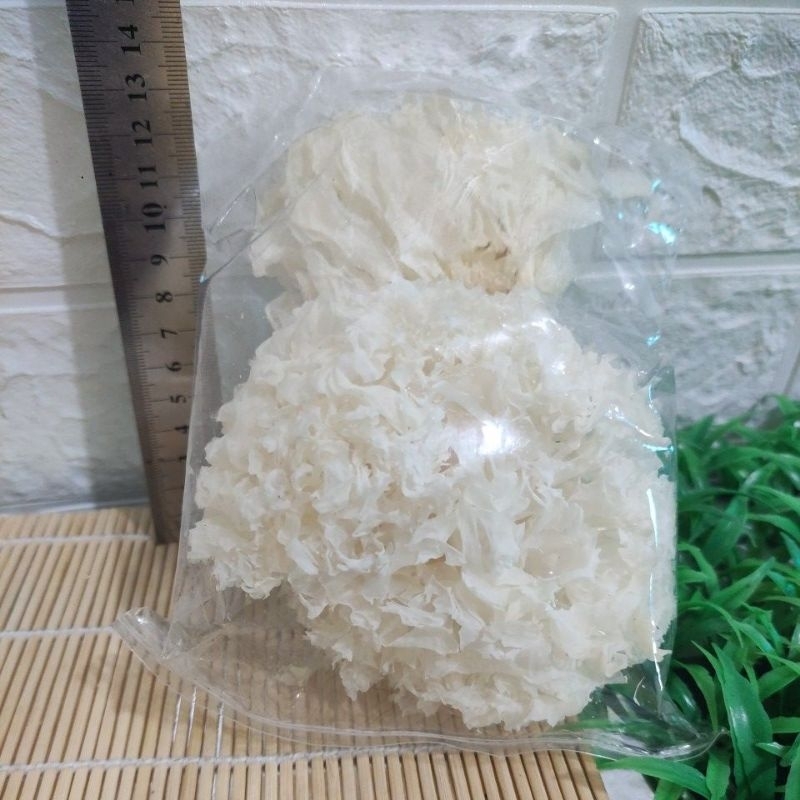 Jual Jamur Es Super Jamur Salju Snow White Fungus Jamur Putih Kering