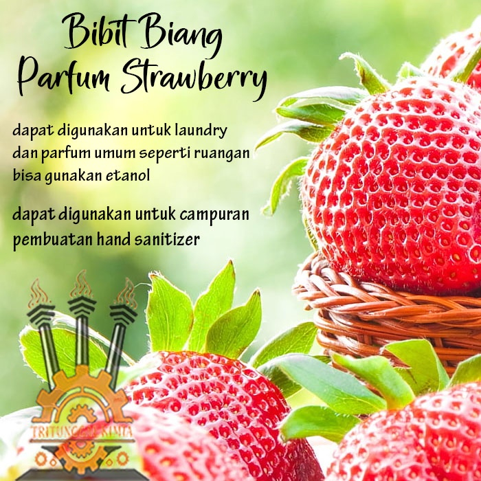 Jual Bibit Biang Parfum Strawberry 1liter Minyak Wangi Stroberi 1liter