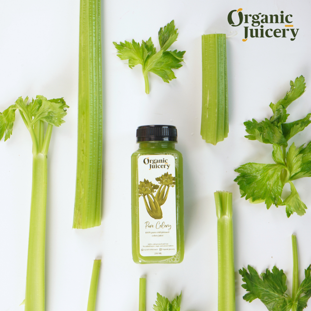 Jual Pure Celery Juice 1 Liter Cold Pressed Juice 100 Jus Seledri