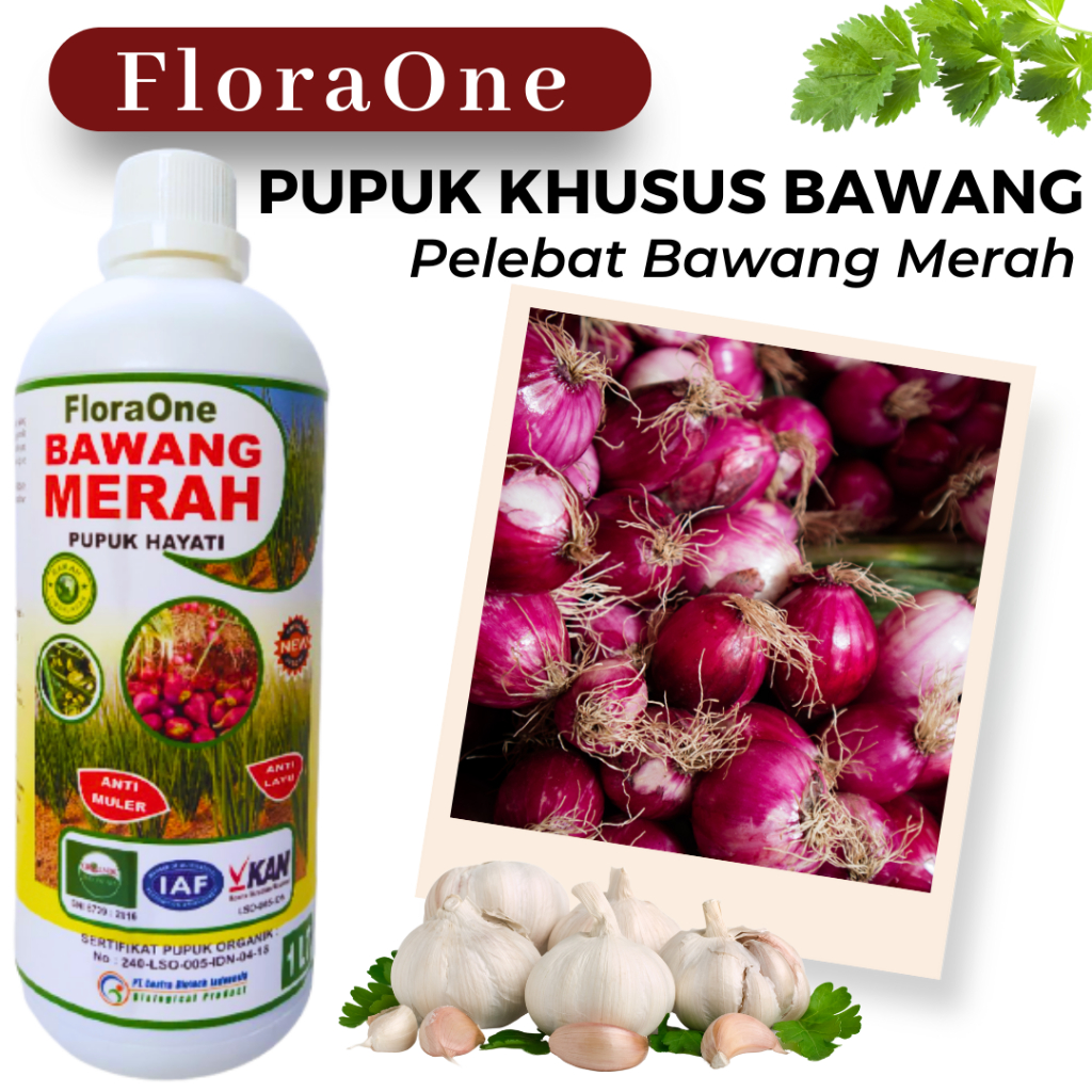 Jual Obat Bawang Merah Pucuk Kuning Pupuk Hayati Untuk Bawang Merah Shopee Indonesia