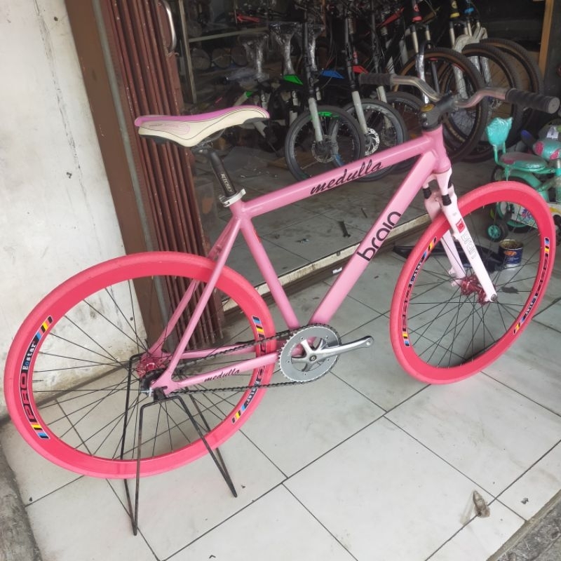 frame brain fixie