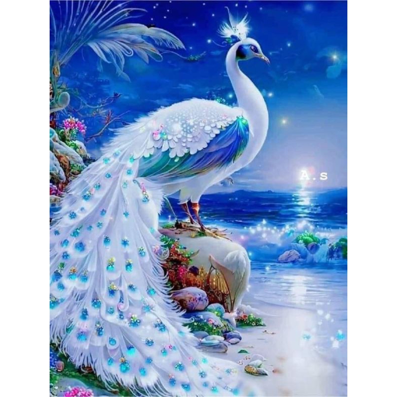 Jual Poster Cetak, BURUNG MERAK, Ukuran JUMBO, 100x70cm DAN 150x100cm ...