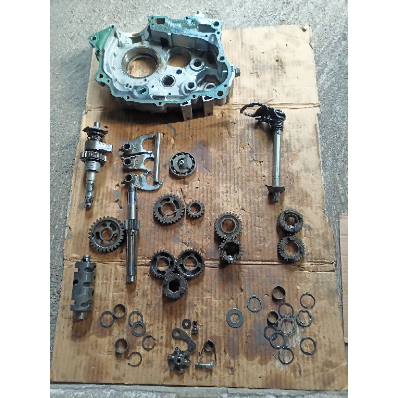 Jual rasio tiger transmisi tiger | Shopee Indonesia