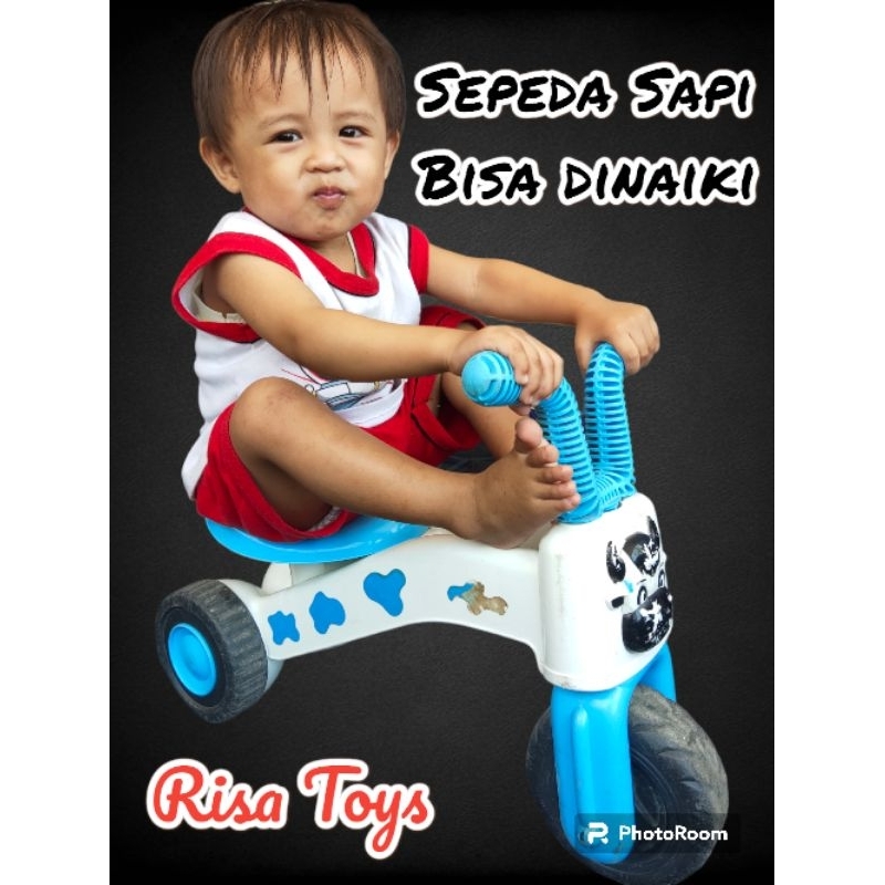 Jual SEPEDA SAPI BISA DINAIKI, BAHAN TEBAL SERI TERBAIK | Shopee Indonesia