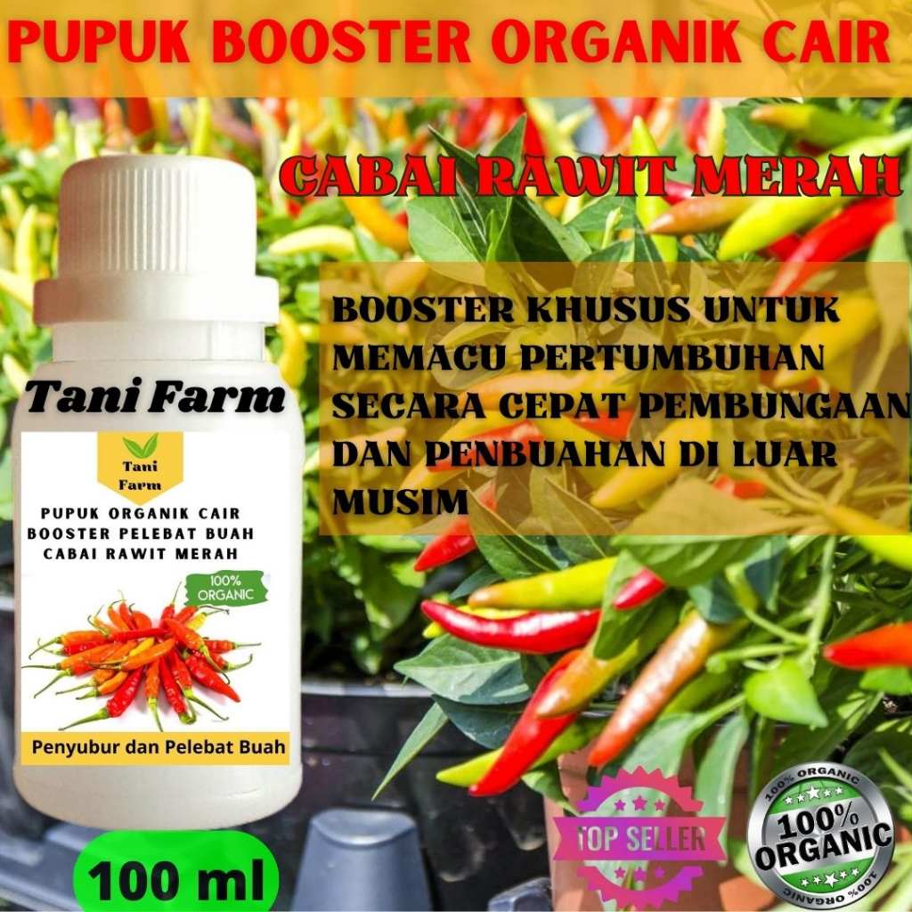 Jual Pupuk Booster Cabai Rawit Merah Pelebat Buah Dan Anti Rontok ...