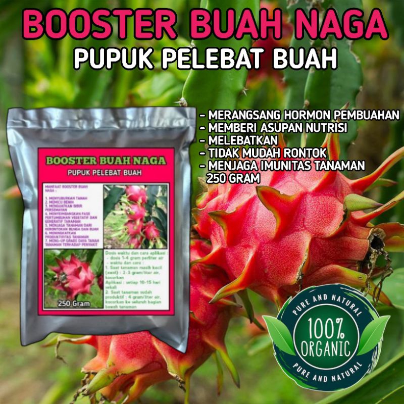 SPESIAL PROMO pupuk booster buah naga pelebat buah nutrisi anti rontok kemasan 250 gram