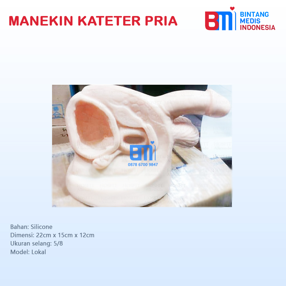 Jual Manikin model kateter pria / Catheter/ Phantom manekin pemasangan