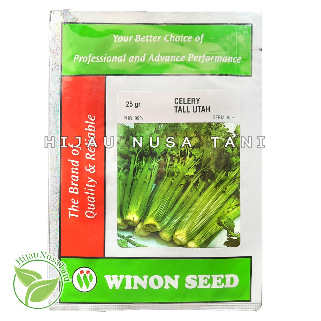 Jual Benih Seledri TALL UTAH CELERY 25 gram WINON SEED Kemasan Pabrik