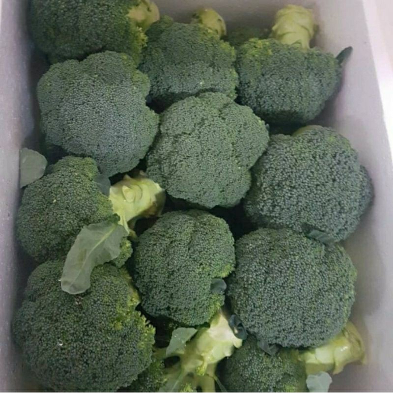 Jual Broccoli Import Australia - Brokoli 1 kg | Shopee Indonesia