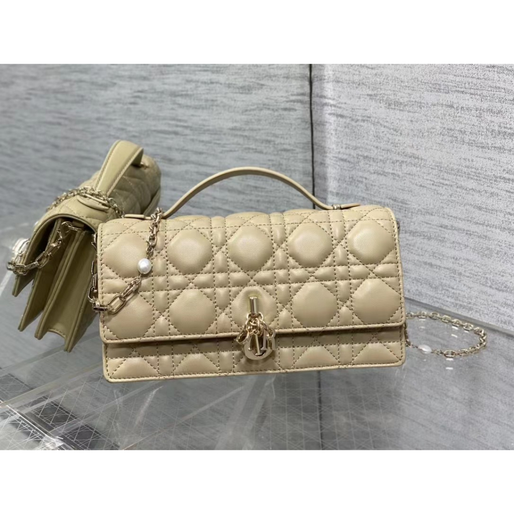 Jual New Dior Crossbody Bag Shopee Indonesia