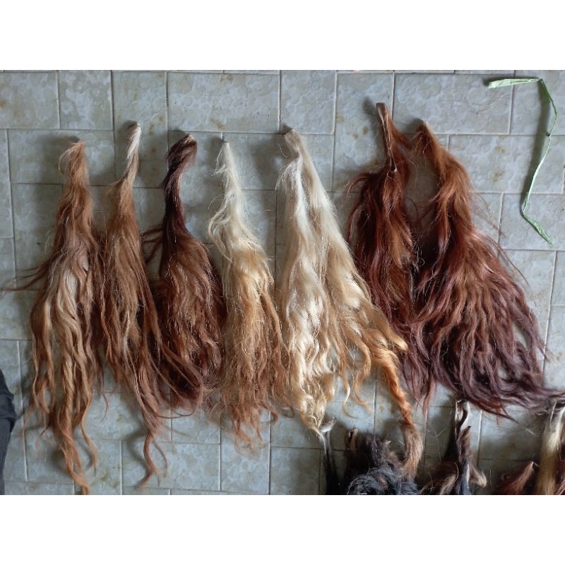 Jual BACA DESKRIPSI Rambut Ekor/Gubat/Buntut Sapi Kering Superan tanpa ...