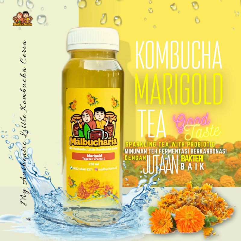 Jual Kombucha Varian Rasa Marigold Tea Minuman Probiotik Teh Fermentasi 250 Ml By Malbucharia 5960