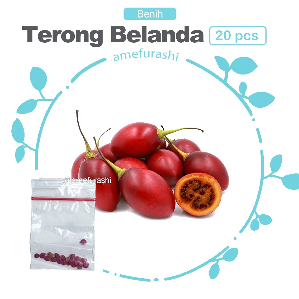 Jual Amefurashi 50 Benih Bibit Biji Sayur Tomat Ceri Small Red Cherry 