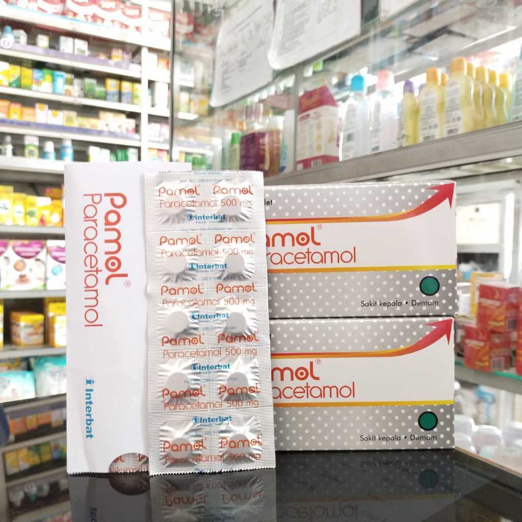 Jual PAMOL TABLET 1 STRIP @10 TABLET pamol obat demam obat pereda nyeri