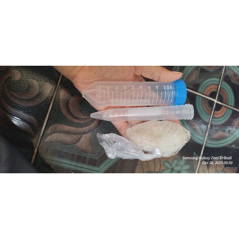 Jual STARTER NATA DE COCO TUBE Shopee Indonesia