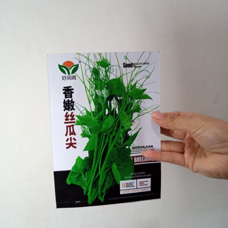 Jual benih daun pucuk labu asli kemasan sesuai Poto isi banyak | Shopee ...