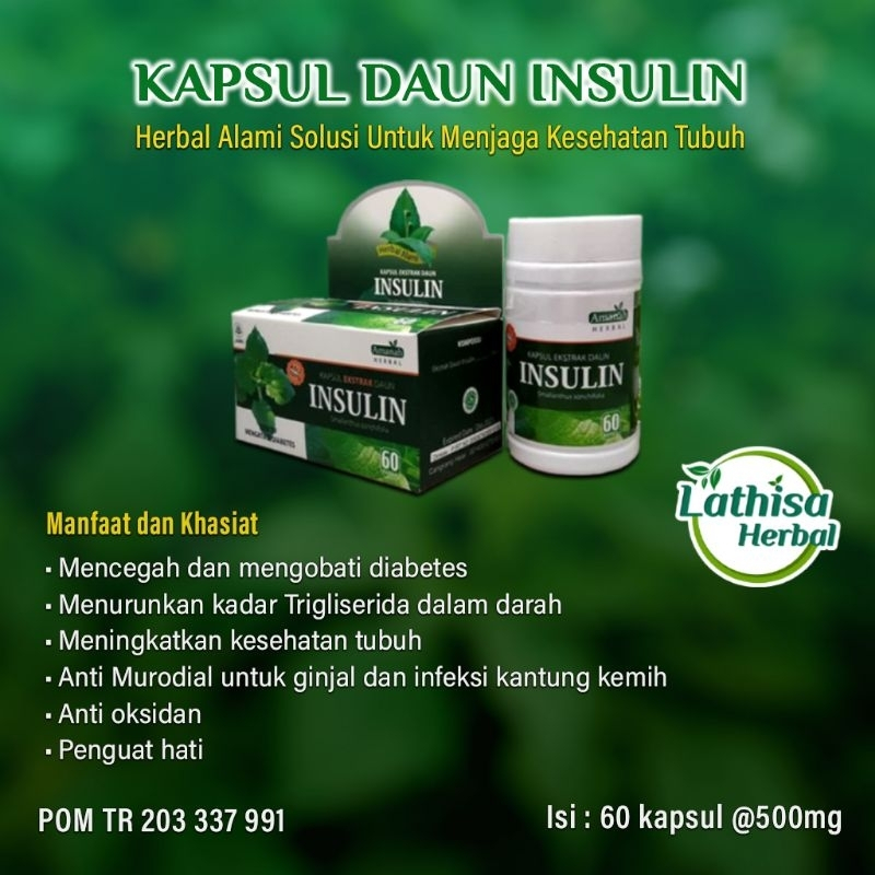 KAPSUL DAUN INSULIN ISI 60 HERBAL MURNI ORIGINAL CV.HANIF HERBAL SOLUSI DIABETES DAN KENCING MANIS