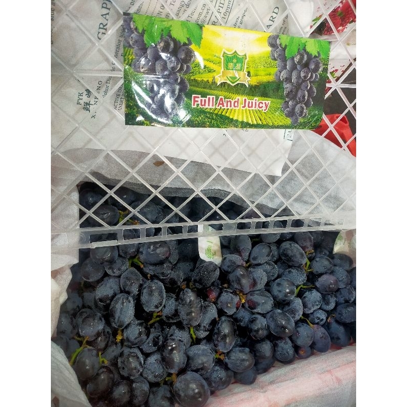 Jual anggur hitam autumn Royal Rrrc manis terkadang ada biji | Shopee ...