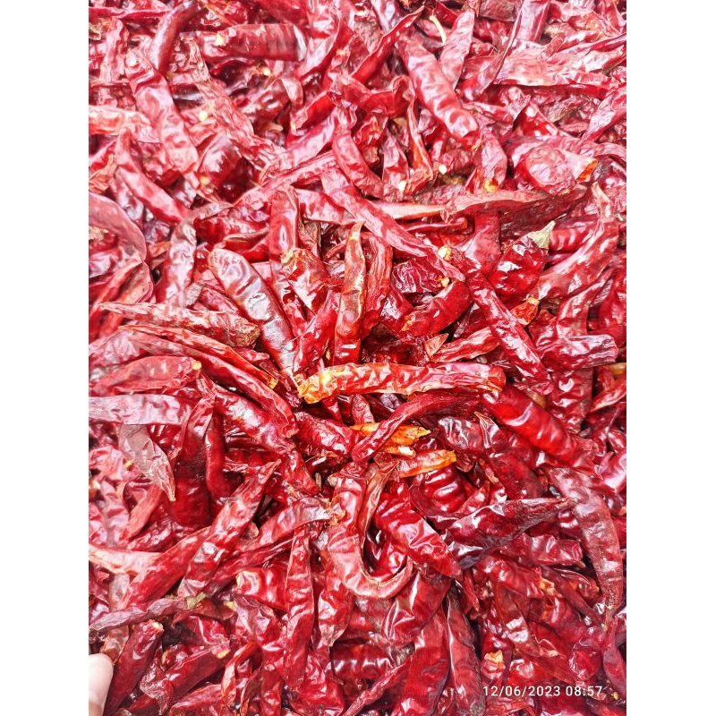 Jual (1KG) packing CABE CAPLAK RAWIT KERING TANPA TANGKAI SUPER PEDAS ...