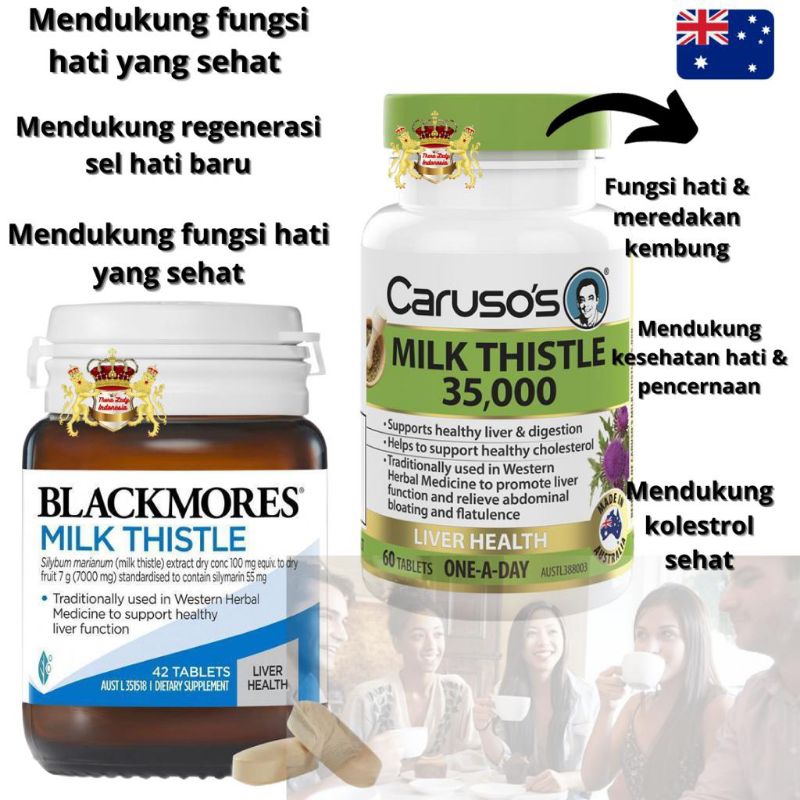 Jual Blackmores Milk Thistle 42 Tablet Kesehatan Liver Hati | Shopee ...