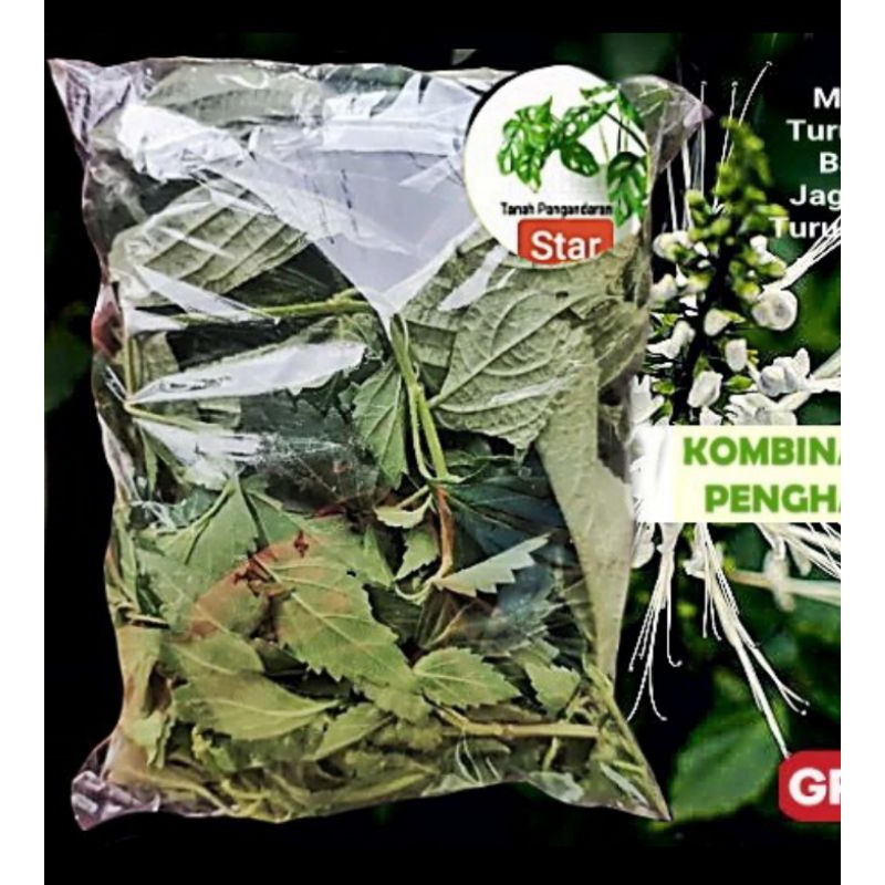 Jual Paket Peluruh Batu Ginjal - Daun Kumis Kucing Dan Keji Beling ...