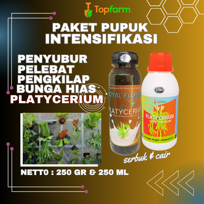 Jual Pupuk Platycerium Ridleyi Pupuk Platycerium Cair Pupuk