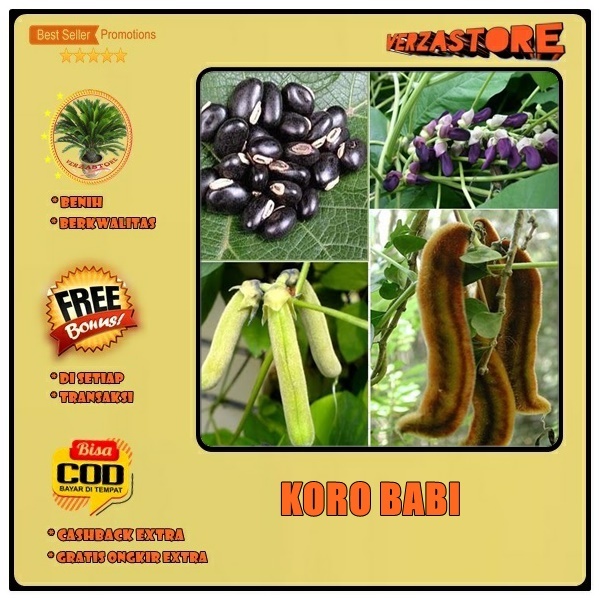 Jual Biji Benih Green Mucuna Pruriens Kacang Babi Baby Kara Koro Benguk