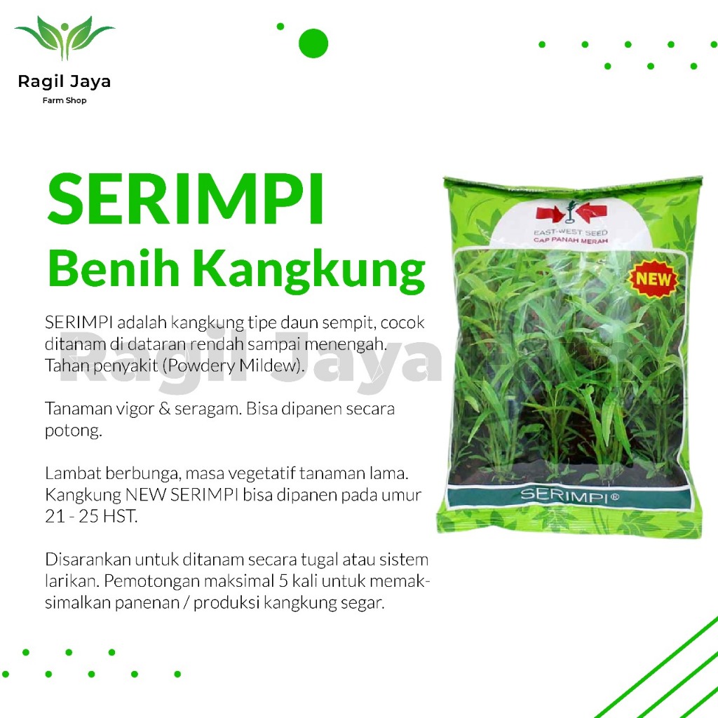 Jual Benih Bibit Kangkung Daun Sempit Serimpi Kg Cap Panah Merah Shopee Indonesia