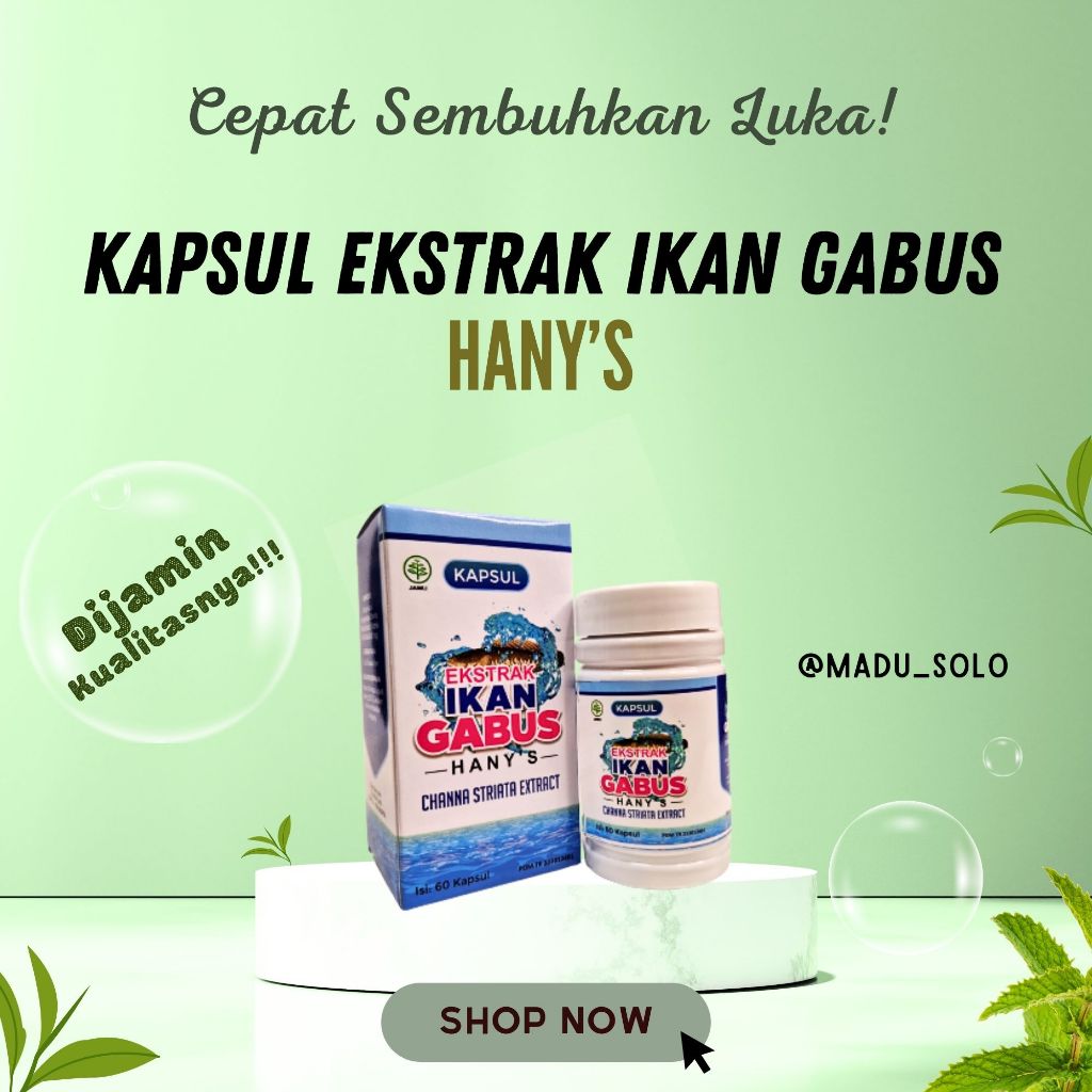 Jual Kapsul Ekstrak Ikan Gabus/Kutuk (Channa Striata Extract) HANY'S ...