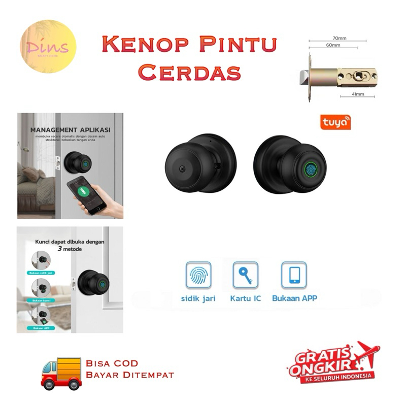 Jual Dins Smart Door Lock Kenop Tombol Pintar Sidik Jari Tuya | Shopee ...