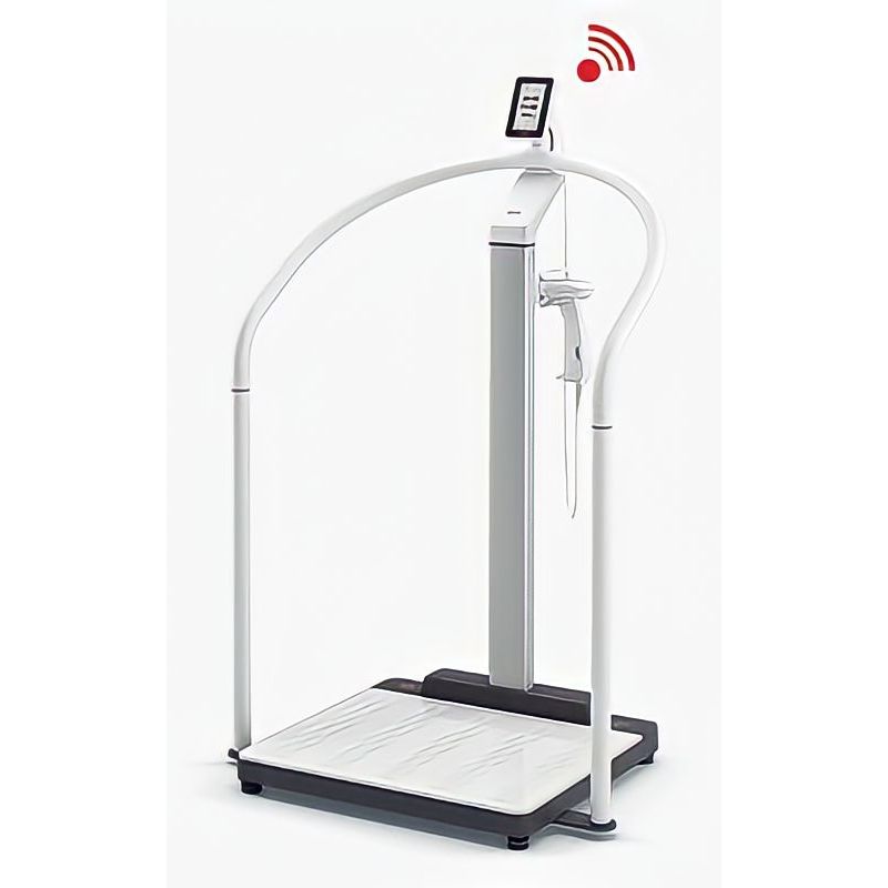 Jual SECA Scale Up Line SECA Timbangan 455 EMRValidated Handrail Scale