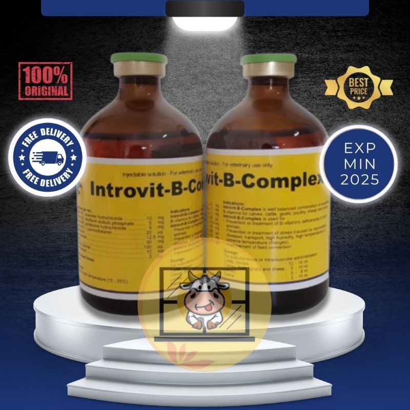 Jual Introvit B Complex @100 Ml Multivitamin B Complex Interchemie ...