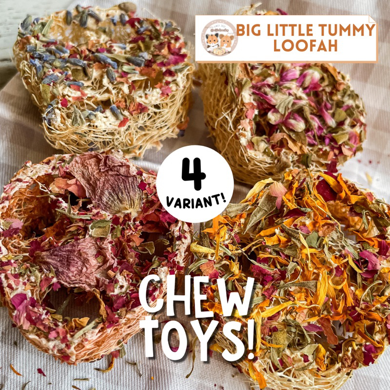 Jual MIJIU [Chew Toys] BigLittleTummy Loofah at the First Sight for Hamster & Bunny / Gigitan
