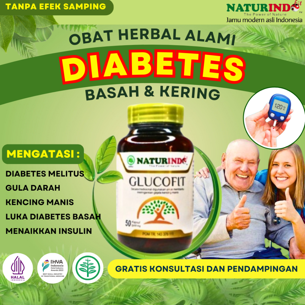 Jual Obat Diabetes Paling Ampuh Diabet Melitus Basah Kering Gula Darah