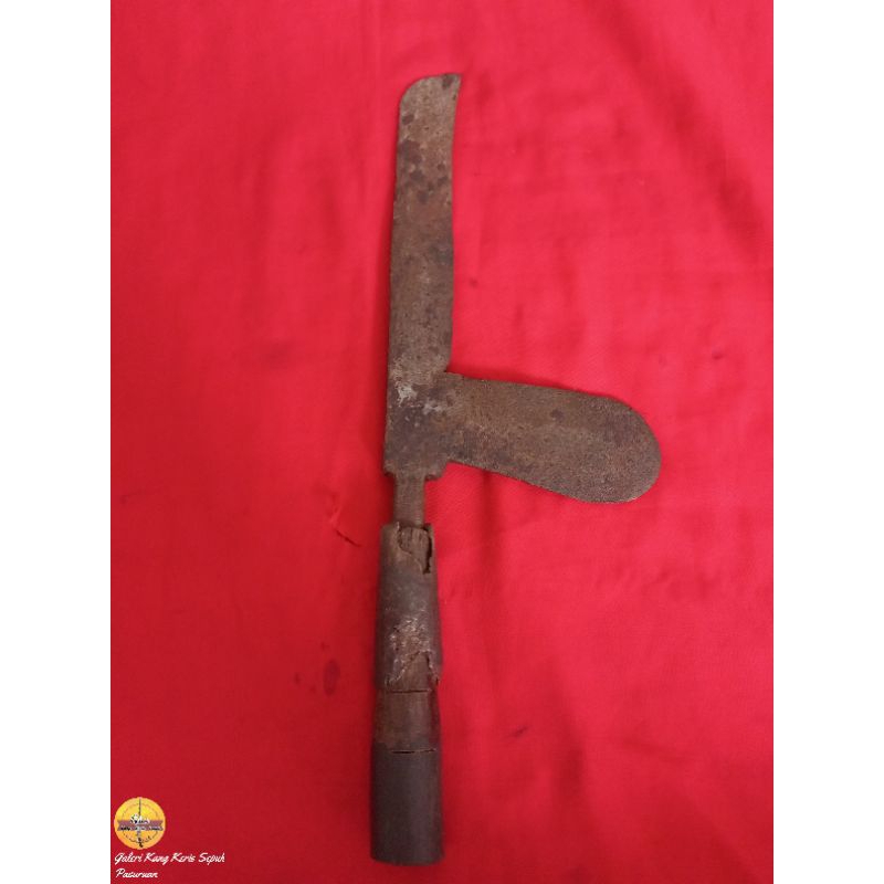 Jual KUDI KABUDHAAN ORIGINAL TEMUAN | Shopee Indonesia