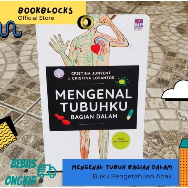 Jual BUKU PENGETAHUAN ANAK - MENGENAL TUBUHKU BAGIAN DALAM | Shopee ...