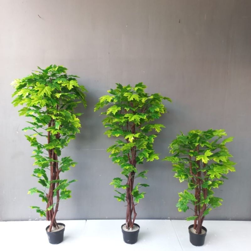 Jual pohon mapel pepaya hijau palsu artificial T.180cm/ pohon mapel ...