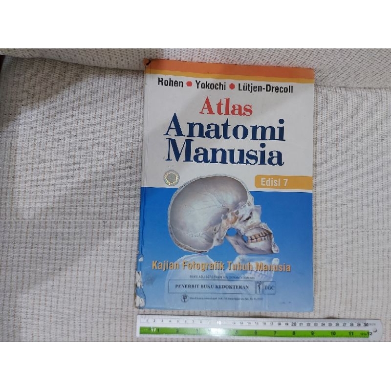 Jual ASLI ORIGINAL Atlas Anatomi Yokochi | Shopee Indonesia