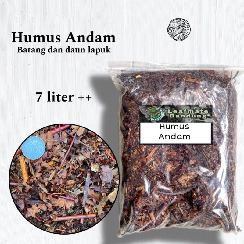 Jual Humus Andam Fermentasi Alami - 7 Liter Kemasan 5 kg Lapuk Siap ...