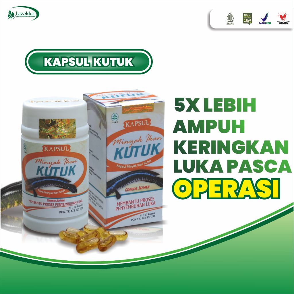 Jual Obat Penyembuh Luka Pasca Oprasi Minyak Ikan Kutuk Gabus Ekstrak