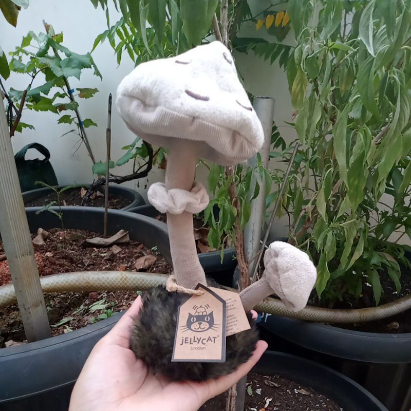 Jual Jellycat Amuseable I'am a wild Nature Parasol Mushroom (NWT