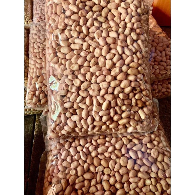 Jual 1kg Benih Kacang Tanah Varietas Gajah Kualitas Super Siap Tanam